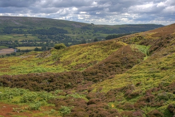 Photo 6"x4" Maiden Castle Healaugh\/SE0199 c2008