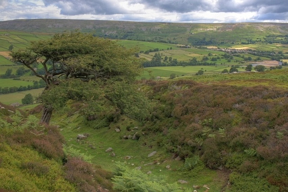 Photo 6"x4" Maiden Castle Healaugh\/SE0199 c2008 P1