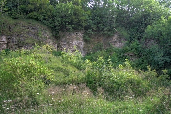 Photo 6"x4" Former Limestone Quarry Cassop c2008