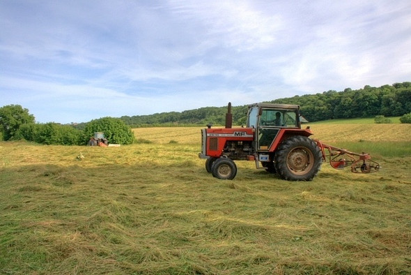 Photo 6"x4" Turning the Hay, Cassop Vale Cassop c2008