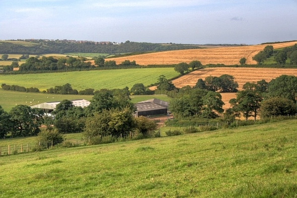 Photo 6"x4" Barns and Other Farm Buildings, Below Old Cassop Old Cassop c2008