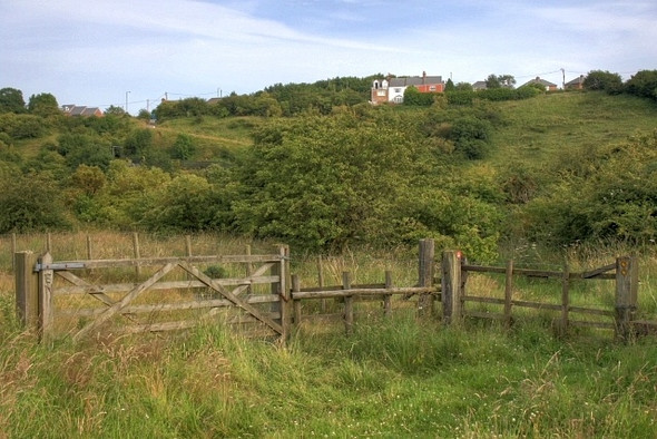 Photo 6"x4" Cassop Vale Cassop c2008