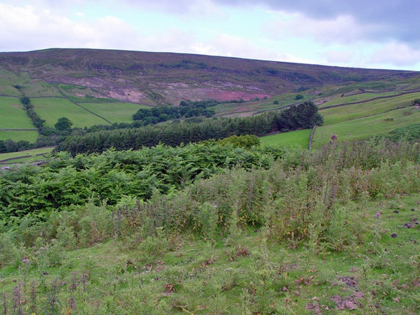 Photo 6"x4" The Fellside east above Blakey Gill Church Houses c2008