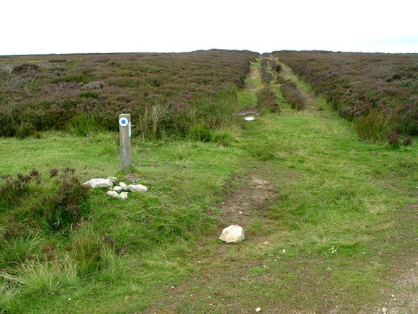 Photo 6"x4" Bridleway to Cockayne Cockayne c2008