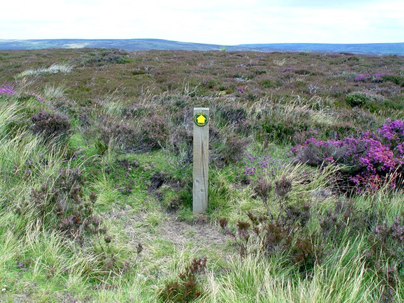Photo 6"x4" Footpath to Spout House Cockayne c2008