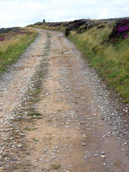 Photo 6"x4" Approaching the Cammon Stone Cockayne c2008