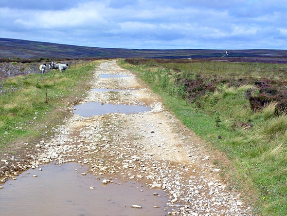 Photo 6"x4" Westside Road, Rudland Rigg Cockayne c2008