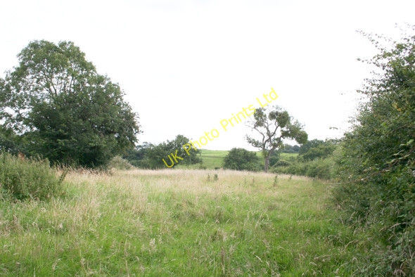 Photo 6"x4" Old Orchard, Castlemorton Birts Street c2007