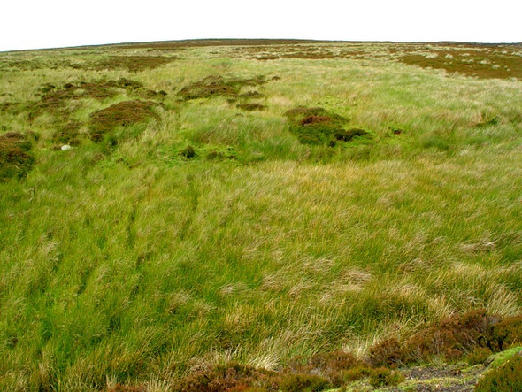 Photo 6"x4" Towards Stony Ridge Stony Ridge\/NZ6302 c2008