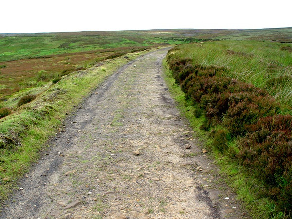 Photo 6"x4" Towards Dale Head Cockayne c2008