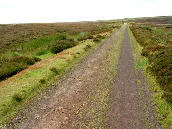 Photo 6"x4" Towards Dale Head and Bloworth Cockayne c2008