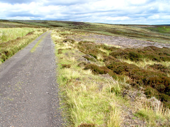 Photo 6"x4" High Blakey Moor Church Houses c2008