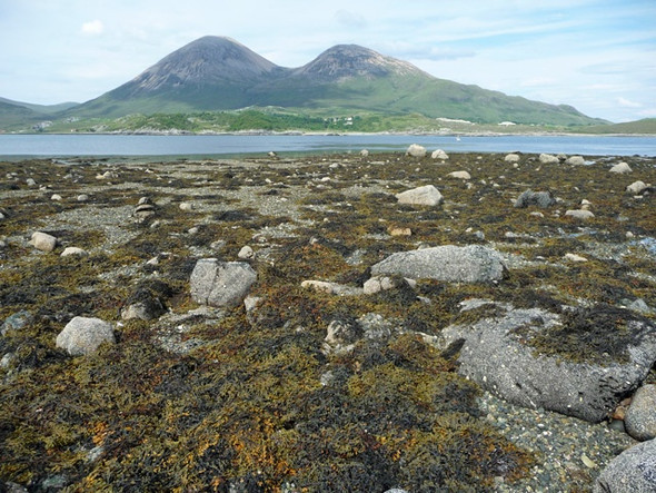 Photo 6"x4" Rubha Cruaidhlinn Torrin\/Na Torrin c2008