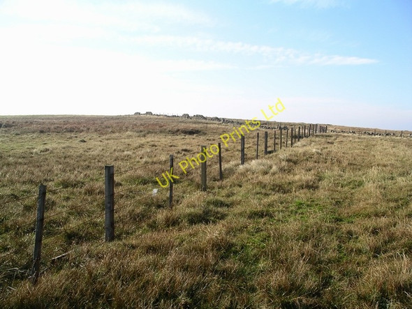 Photo 6"x4" Summit, Swatte Fell Capplegill c2005