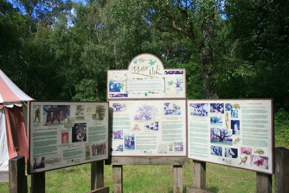 Photo 6"x4" Major Oak Information Board Edwinstowe c2008