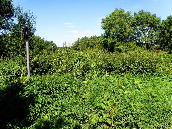 Photo 6"x4" Footpath near Frampton Mansell Frampton Mansell c2008