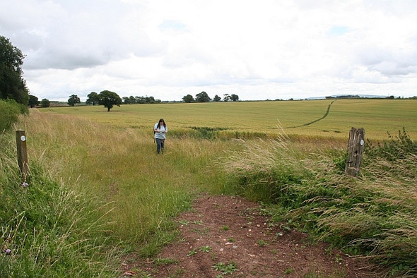 Photo 6"x4" Bridleway through wheatfield, Madresfield Madresfield c2008