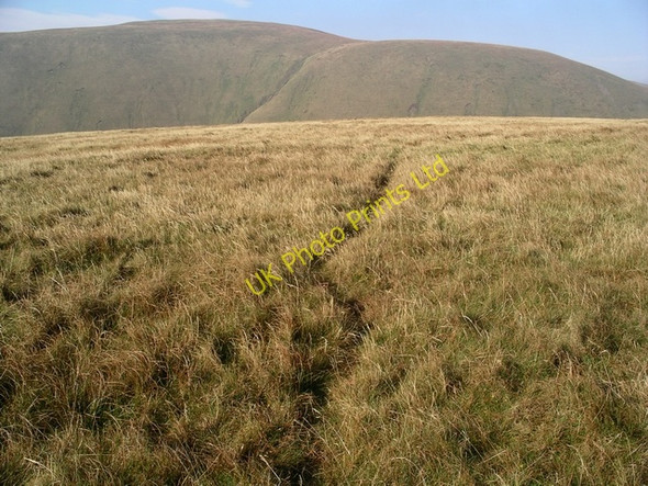 Photo 6"x4" Sheep track, Swatte Fell Capplegill c2005