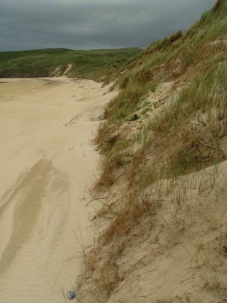 Photo 6"x4" Tramore Strand Castlebane c2008 P2