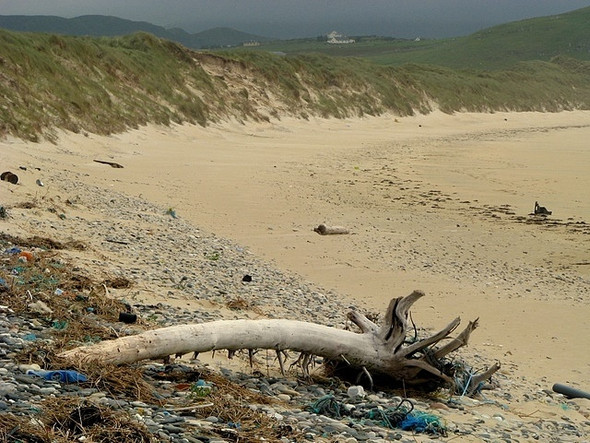Photo 6"x4" Driftwood, Tramore Strand Castlebane c2008