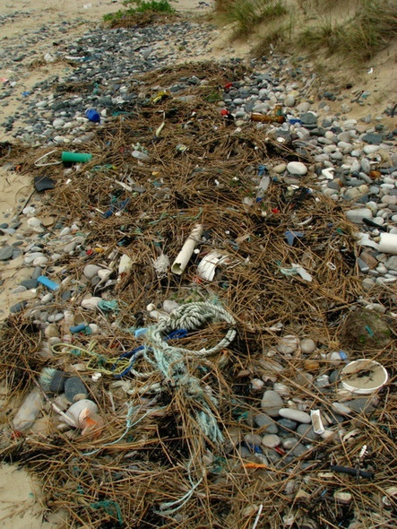 Photo 6"x4" Flotsam and jetsam, Tramore Strand Castlebane c2008