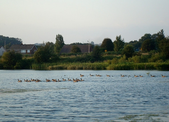 Photo 6"x4" Allerton Ings Castleford c2008