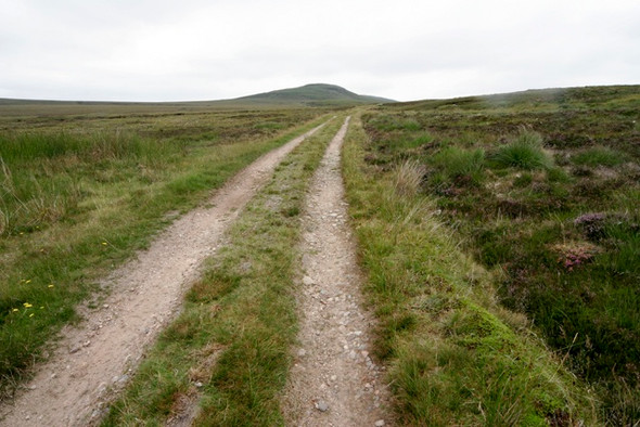 Photo 6"x4" Track from Loch Shurrery to Loch Tuim Ghlais Bienn nam Bad Beag c2008