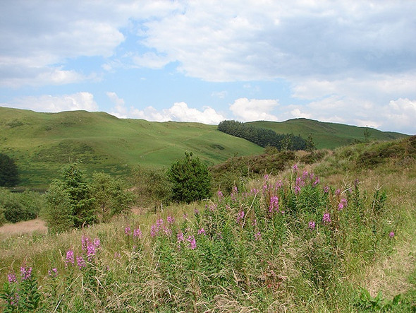 Photo 6"x4" Blaen Llywernog viewed from Bwlch Nany-yr-arian Llywernog c2008