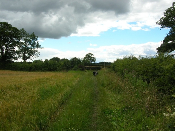 Photo 6"x4" Towards Moor Lane Skelton\/SE5756 c2008