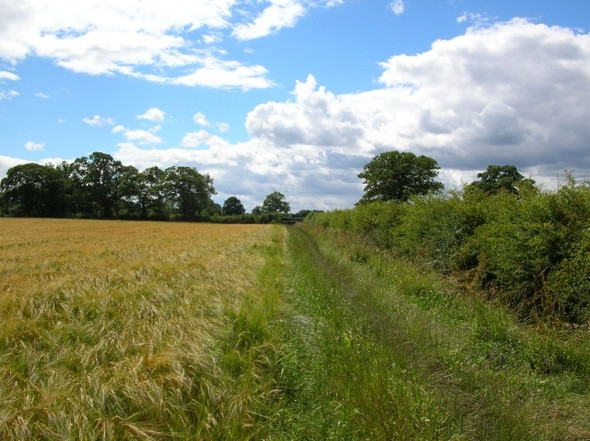 Photo 6"x4" Bridleway to Moor Lane Wigginton\/SE5958 c2008