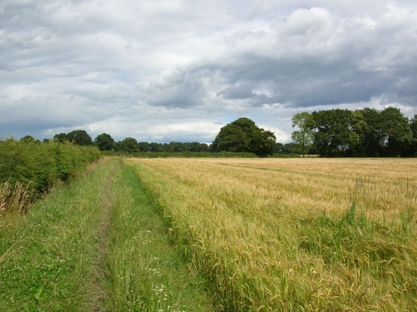 Photo 6"x4" Bridleway along ditch Wigginton\/SE5958 c2008