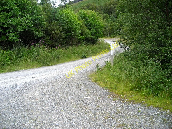 Photo 6"x4" Track in Leanachan Forest Torlundy c2007