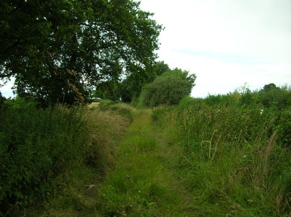 Photo 6"x4" Overgrown lane Shipton\/SE5558 c2008