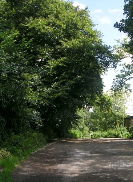 Photo 6"x4" Footpath - Church Lane Mirfield c2008