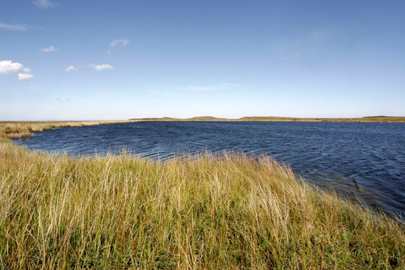 Photo 6"x4" Lochan Ealach Aultiphurst c2008