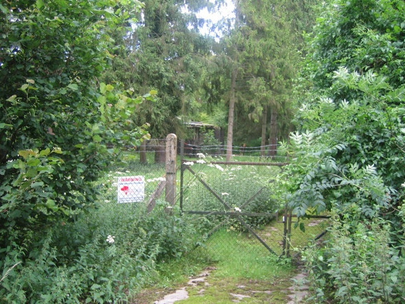 Photo 6"x4" Narrow Gauge Railway, Former Site of RAF Chilmark 3 Lower Chicksgrove c2007