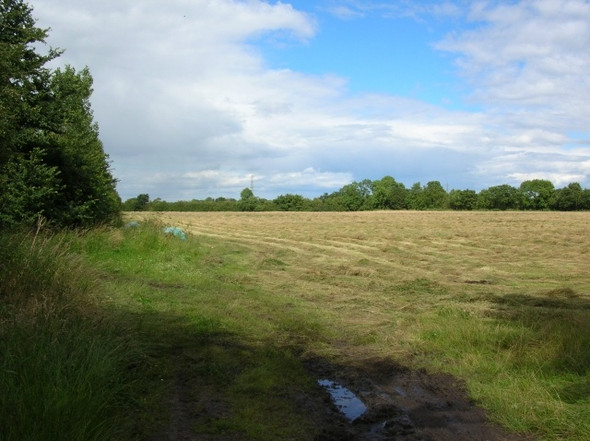 Photo 6"x4" Into a field from Corban Lane Wigginton\/SE5958 c2008