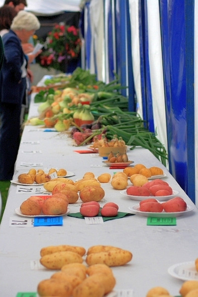 Photo 6"x4" The Produce, Osmotherley Show Osmotherley c2008