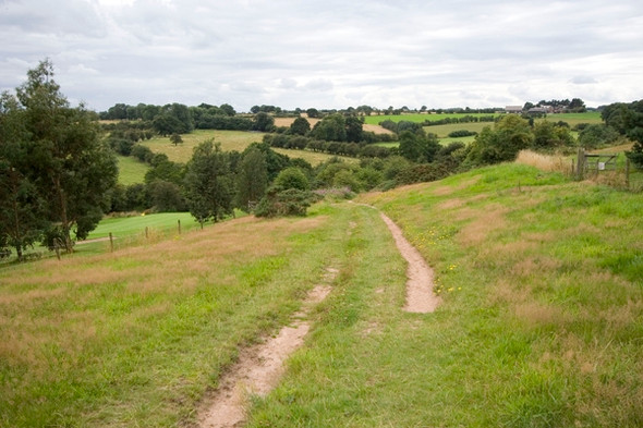 Photo 6"x4" Bridleway cutting through golf course Spofforth c2008