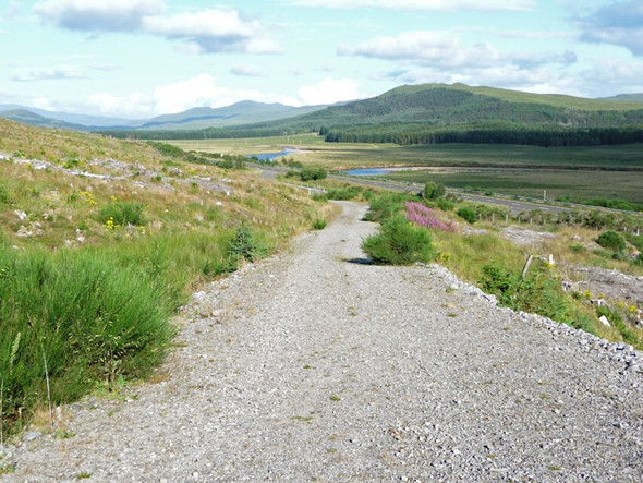 Photo 6"x4" Leaving Strathbran Plantation River Bran\/NH2160 c2008