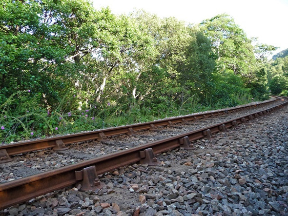 Photo 6"x4" The Kyle of Lochalsh line by Loch Garve Strath Garve \/ Srath Gairbh c2008