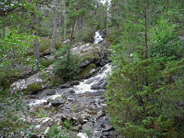 Photo 6"x4" Burn in Coille Bhlaraidh Coille Bhl\u00e0raidh c2008