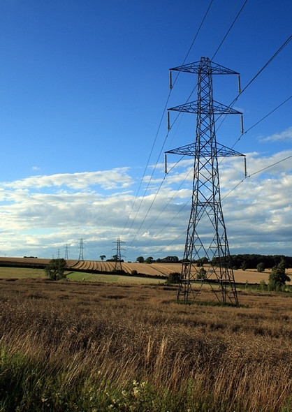 Photo 6"x4" Striding out Saxton c2008