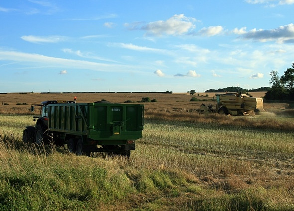 Photo 6"x4" Harvest time Saxton c2008
