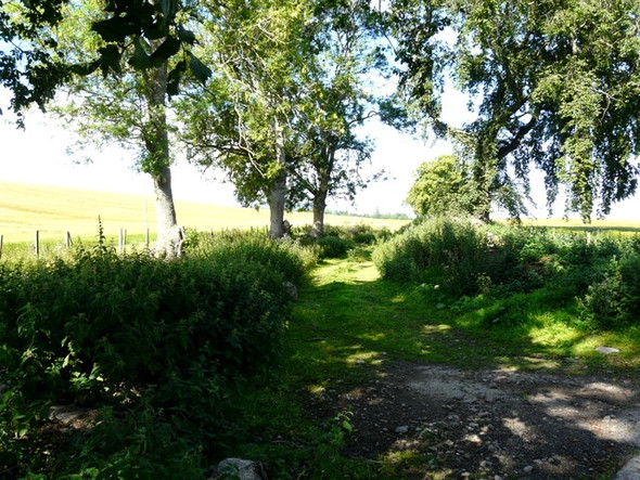 Photo 6"x4" Track off the minor road Ardullie c2008