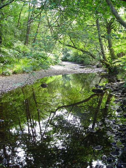 Photo 6"x4" Abhainn Teithil at Sutherlands Grove Sutherlands Grove c2008