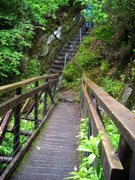 Photo 6"x4" Footbridge Over Abhainn Teithil Gorge Barcaldine c2008