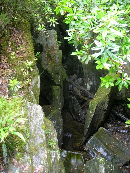 Photo 6"x4" Abhainn Teithil Gorge Barcaldine c2008