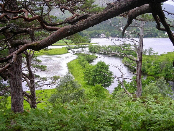 Photo 6"x4" Callop River Meets Loch Shiel Glenfinnan c2008