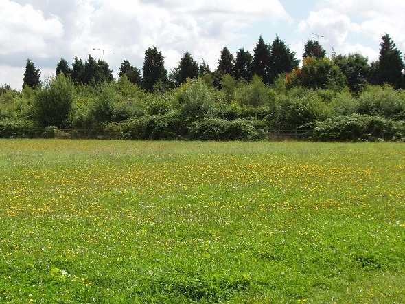 Photo 6"x4" Pasture beside the M40 motorway Beaconsfield c2008